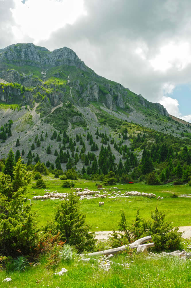 Strogoula Tzoumerka